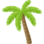 palm tree