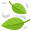 leaf fluttering in wind