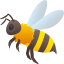 honeybee honeybee