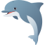 dolphin