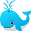spouting whale
