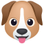 dog face