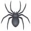 spider