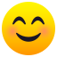 smiling face with smiling eyes