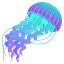 jellyfish